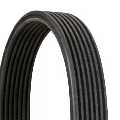 CONTINENTAL CTAM V-Ribbed Belt (7DPK2950)