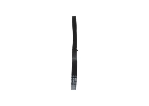 BOSCH V-Ribbed Belt (1987947841)