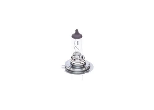 BOSCH Bulb, headlight (1987302079)