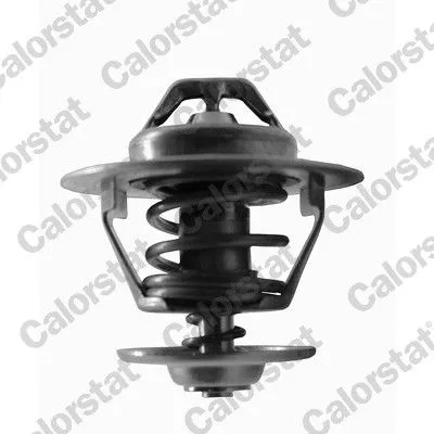 CALORSTAT by Vernet Thermostat, coolant (6434.82J)