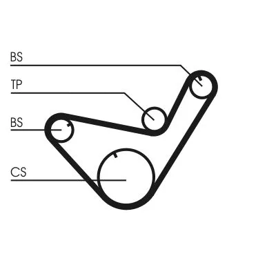 Timing Belt