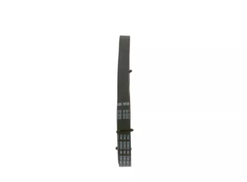 BOSCH V-Ribbed Belt (1987947980)