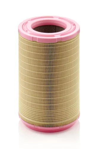 MANN-FILTER Air Filter (C311254)