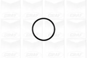 GRAF Water Pump, engine cooling (PA1047)