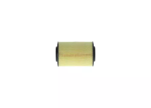 BOSCH Oil Filter (F026407061)