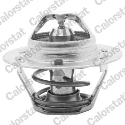 CALORSTAT by Vernet Thermostat, coolant (1477.87J)