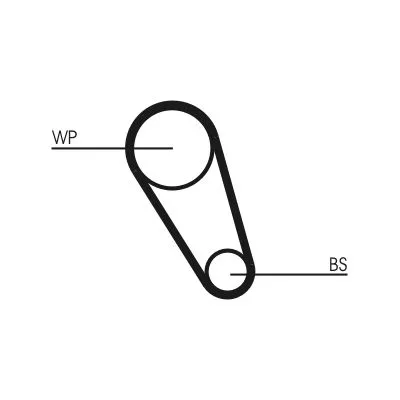 CONTINENTAL CTAM Timing Belt (CT1169)