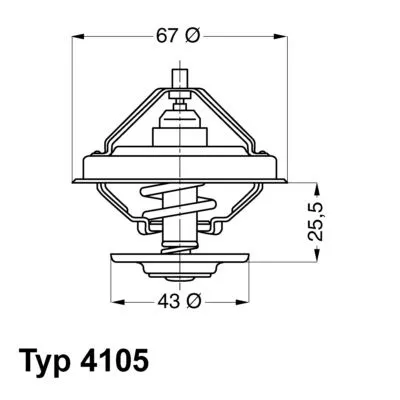 BorgWarner (Wahler) Thermostat, coolant (4105.79D)