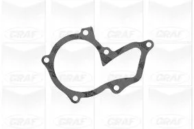 GRAF Water Pump, engine cooling (PA990)