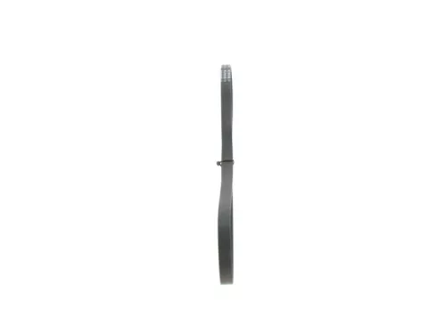 BOSCH V-Ribbed Belt (1987946133)