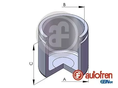 AUTOFREN SEINSA Piston, brake caliper (D02555)