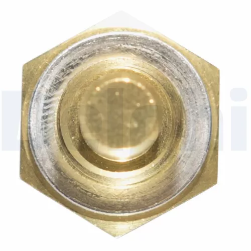 DELPHI Sensor, coolant temperature (TS10253)