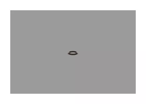 BOSCH Seal Ring, injector shaft (2430190002)