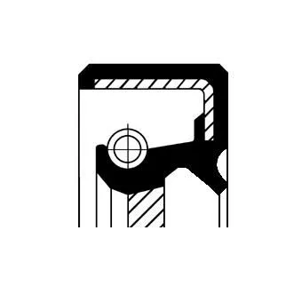 CORTECO Shaft Seal, crankshaft (19016600B)