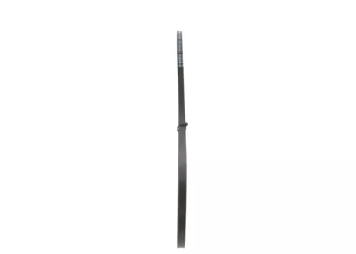 BOSCH V-Belt (1987947698)