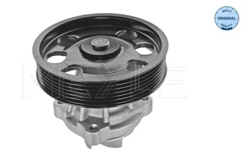 MEYLE Water Pump, engine cooling (6132200002)