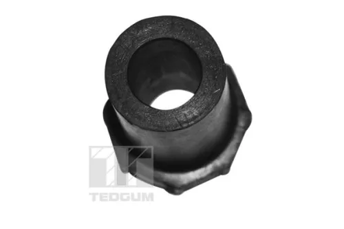 TEDGUM Mounting, leaf spring (00284897)