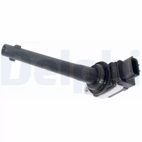 DELPHI Ignition Coil (GN10317-12B1)