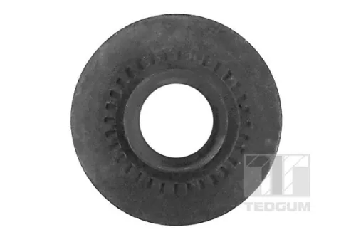 TEDGUM Mounting, leaf spring (00221952)