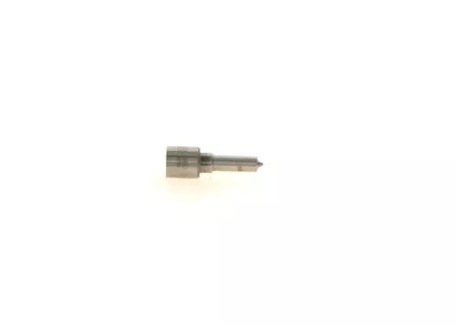 BOSCH Nozzle (0433171929)