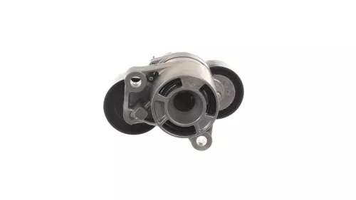 SKF Belt Tensioner, V-ribbed belt (VKM38306)