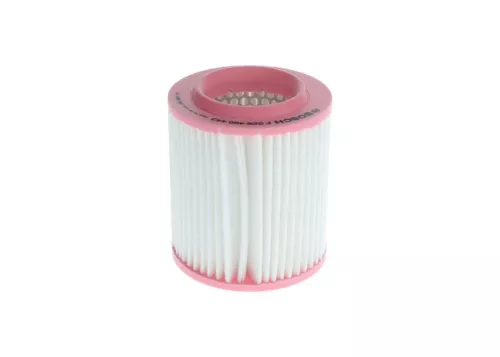 BOSCH Air Filter (F026400443)