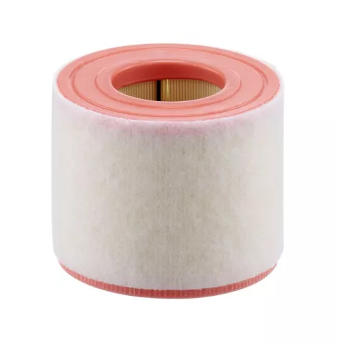 MANN-FILTER Air Filter (C15010)