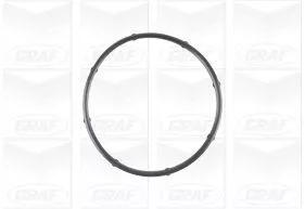 GRAF Water Pump, engine cooling (PA1125)