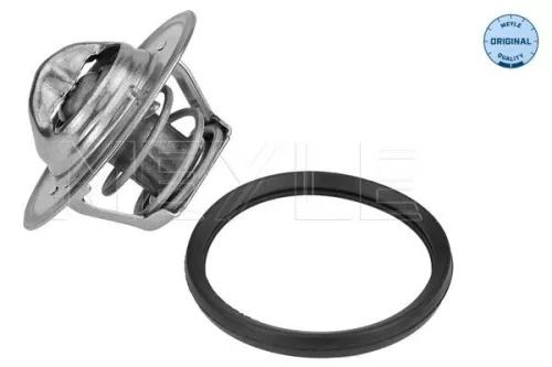 Thermostat, coolant