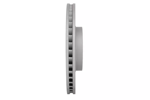 BOSCH Brake Disc (0986479C19)