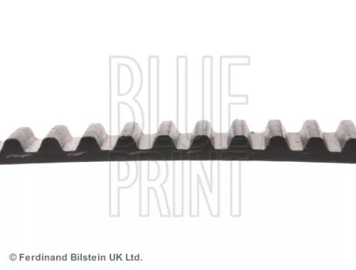 BLUE PRINT Timing Belt (ADM57525)