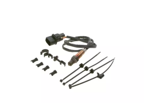 Oxygen Sensor