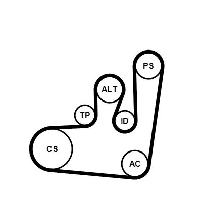 CONTINENTAL CTAM V-ribbed Belt Set (6PK1145K1)