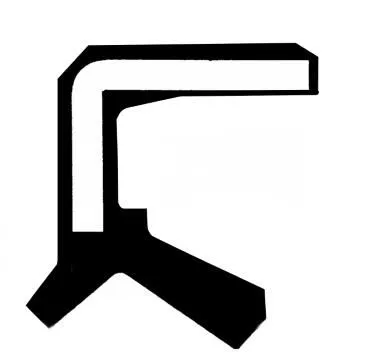 CORTECO Shaft Seal, differential (19035259B)