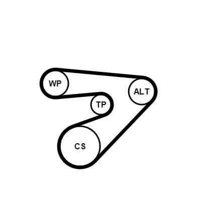CONTINENTAL CTAM V-ribbed Belt Set (6PK1453K2)