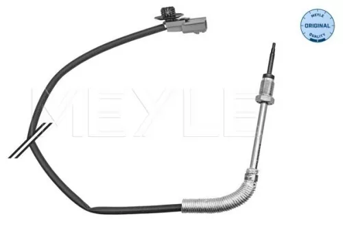 Sensor, exhaust gas temperature