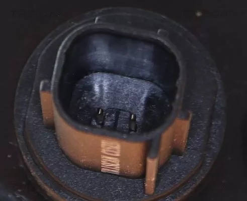 TRISCAN Sensor, wheel speed (818013202)