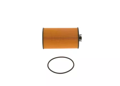 BOSCH Oil Filter (F026407040)