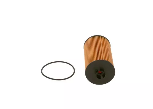 BOSCH Oil Filter (F026407040)