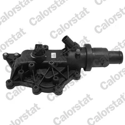 Thermostat, coolant