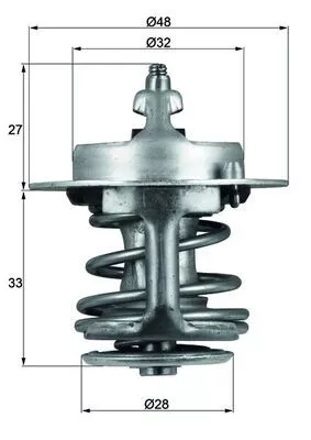 Thermostat, coolant