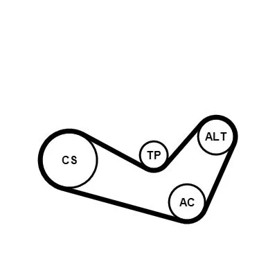 CONTINENTAL CTAM V-ribbed Belt Set (6PK1080K1)
