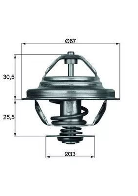 Thermostat, coolant