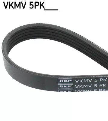 V-Ribbed Belt