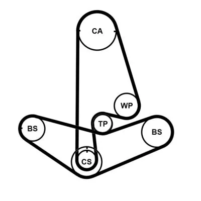 CONTINENTAL CTAM Water Pump & Timing Belt Kit (CT1001WP2PRO)