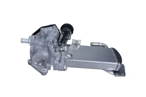 EGR Module