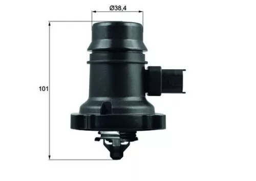 Thermostat, coolant