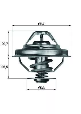 Thermostat, coolant