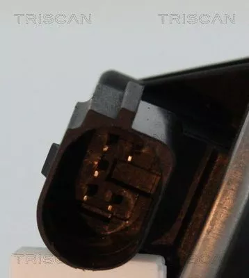 TRISCAN EGR Valve (881329100)