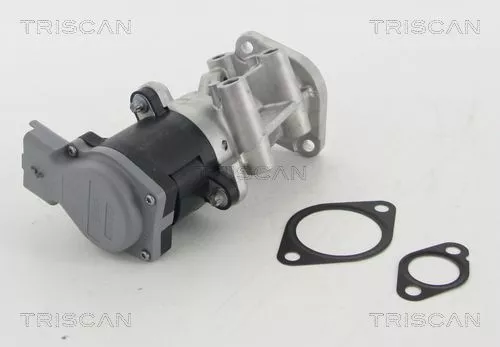 TRISCAN EGR Valve (881310009)